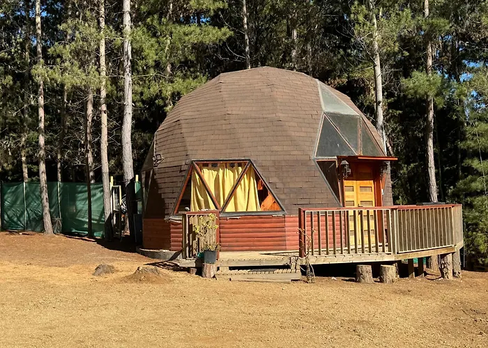 Bosque Domo II