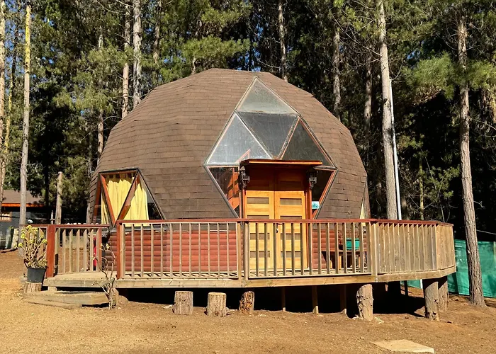 Bosque Domo II