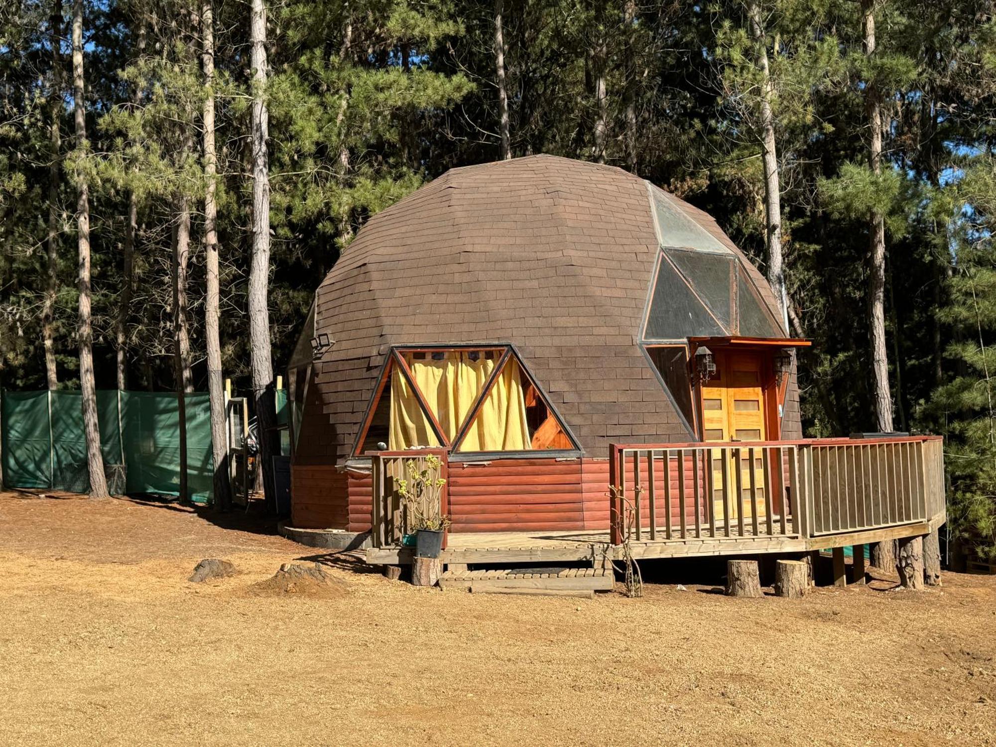 Bosque Domo Ii * Algarrobo
