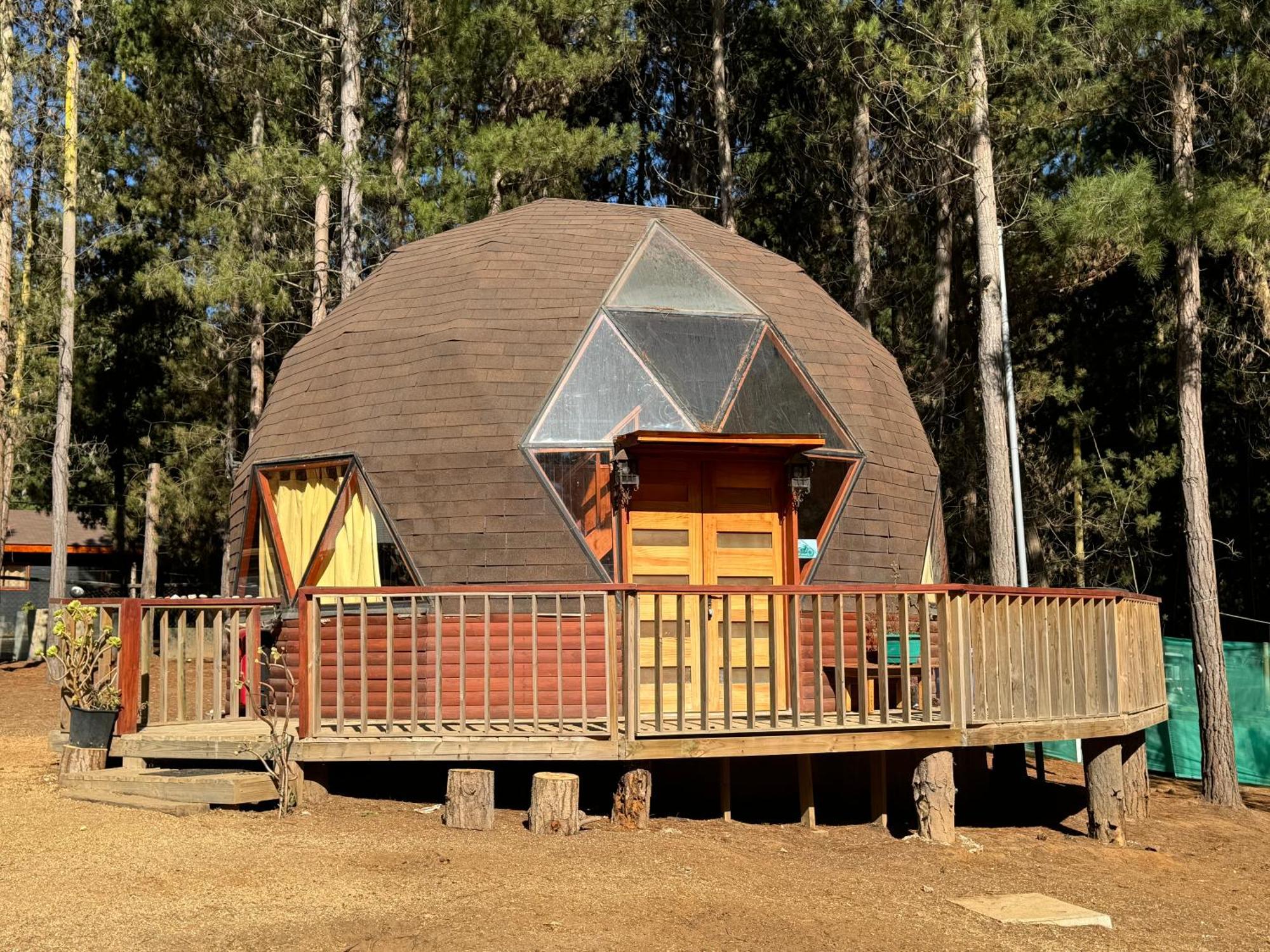 Bosque Domo Ii Algarrobo